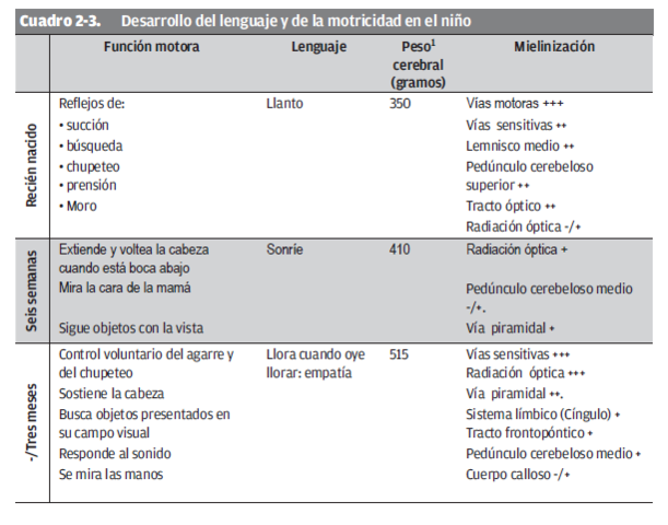 Etapa postnatal: conducta motora y maduración cerebral