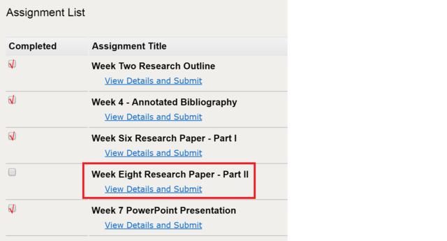 Week Eight - Final Submission