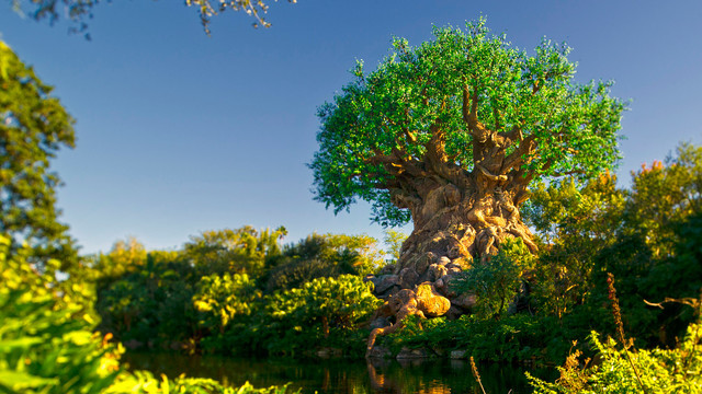 Animal Kingdom