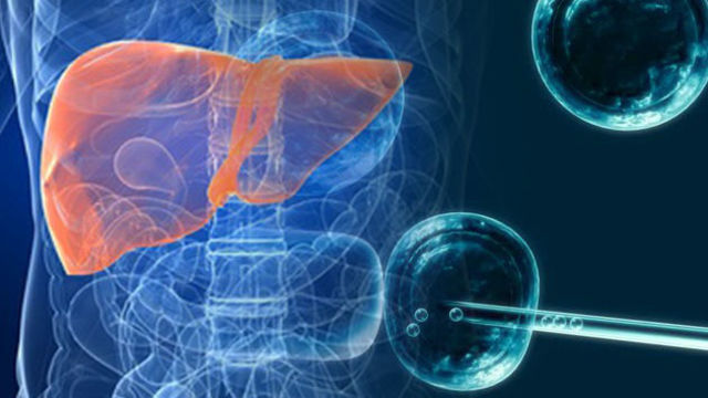 Ingeniería de las células madre