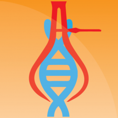 Ingeniería Genética