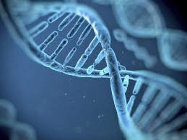 Aplican La nanotecnologia para Detectar Toxinas En El Agua