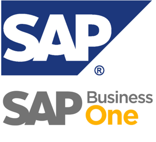 Sistemas SAP en México