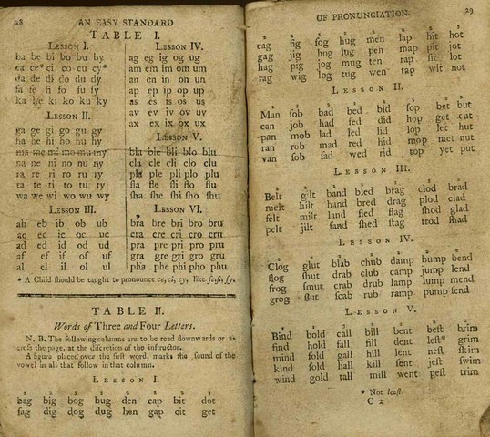 Implementation of the Bluebacked Speller