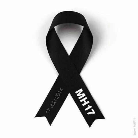MH17