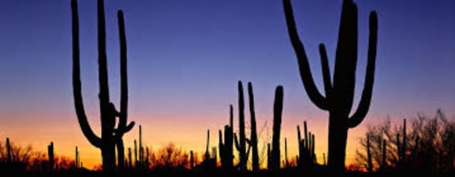 Saguaro National Park is established