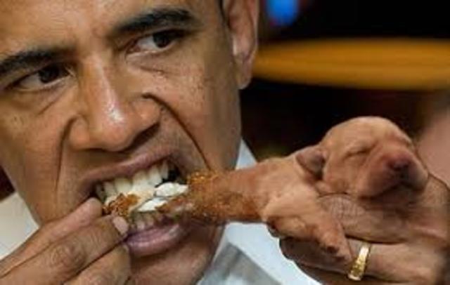 Ate my first lollipop