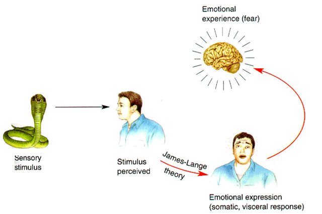 Funcionalismo, oposición al estructuralismo