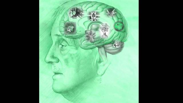 Oficialización del estructuralismo