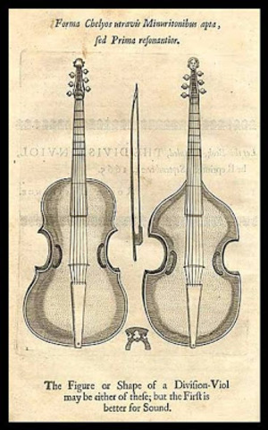 Violas