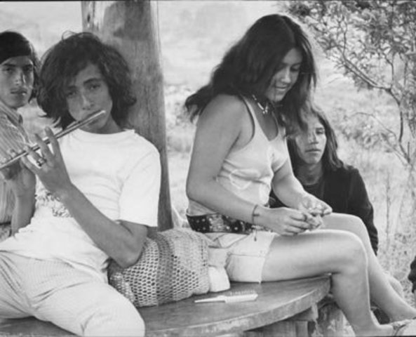 El Festival de Rock del Valle Y  Sol y Música: un paraíso para la gente bella‖,