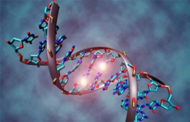 Ingeniería Genetica