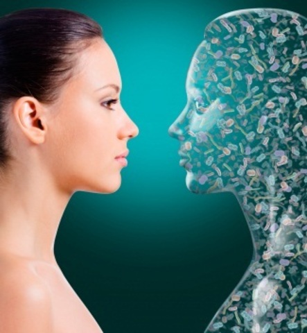 PERÍODOS TECNOLÓGICOS