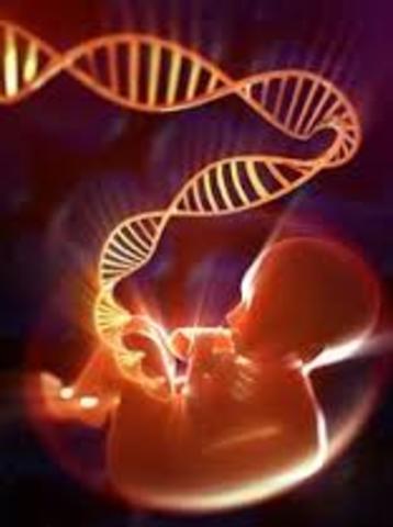 Secuenciación de ADN prenatal