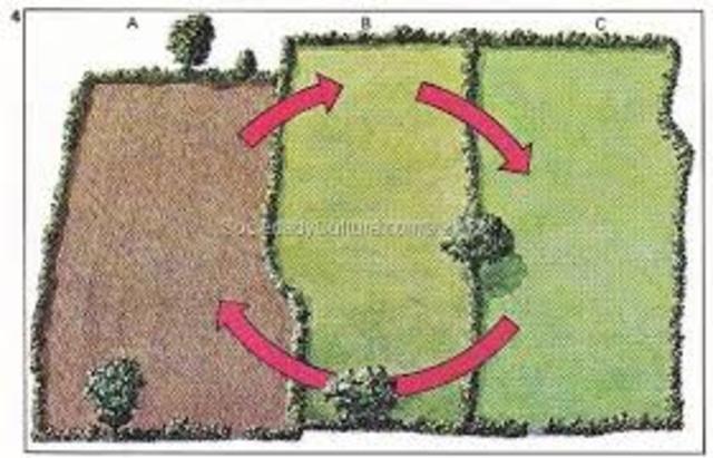 La Rotacion trienal en la agricultura mejora las cosechas al no agotar los recursos de la tierra.