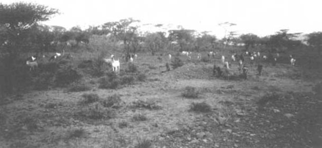 Dirección de Colonización