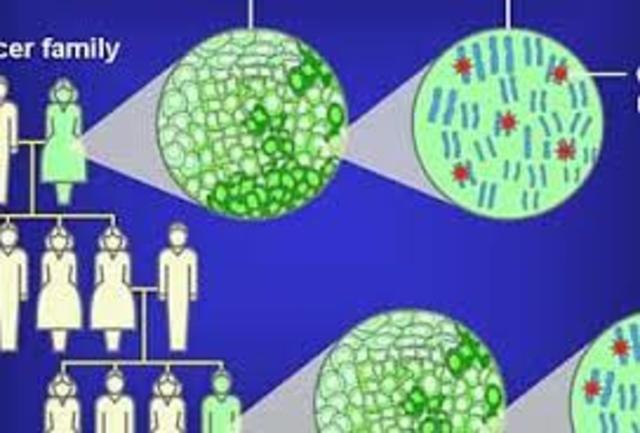 Genómica del Cáncer.