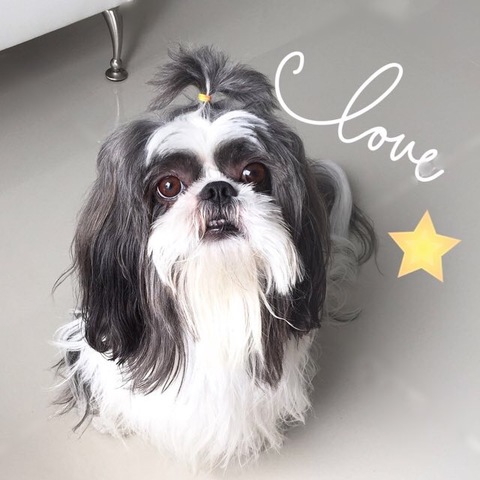 December with My family