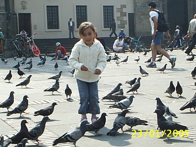 Alimentando a las palomas
