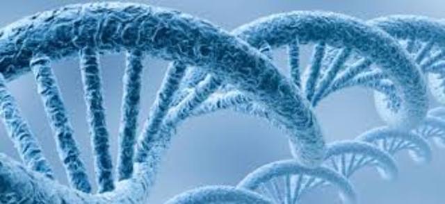 genoma humano se completa