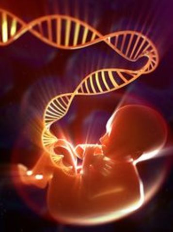 Secuencia ADN prenatal