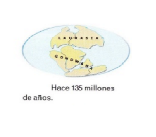Hace 135 millones de años A:C