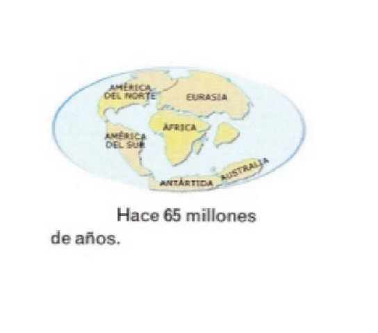 Hace100 millones de años A.C