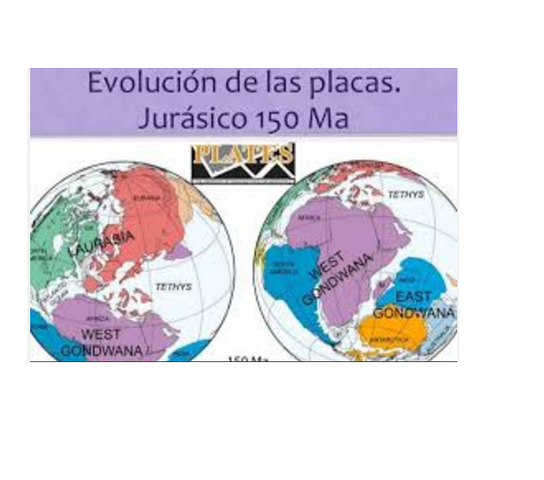 Hace 150 millones de años A.C