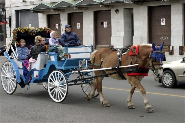 Graduated from secondary school at debs