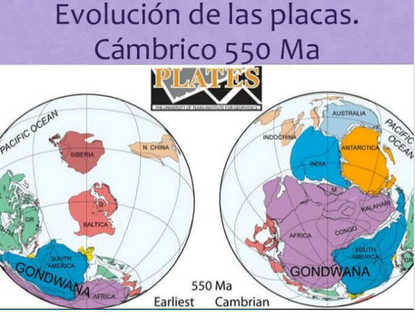 Hace 550 millones de años A.C