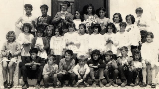 Reformulação do ensino básico.