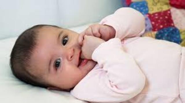 1983 Ano do Meu Nascimento