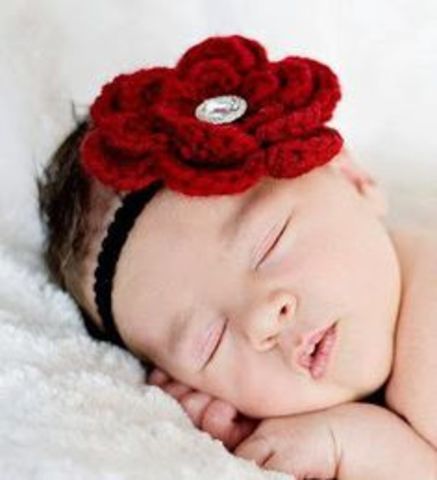 1981 Ano do Meu Nascimento