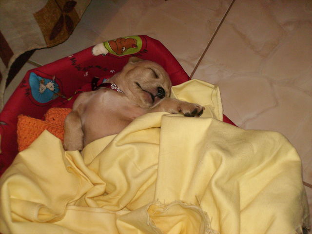 1970 Ano do Meu  Nascimento