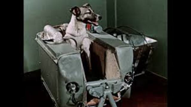 Sputnik II Launched