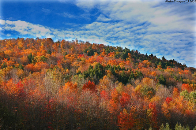 i WENT TO NEW YORK!!!