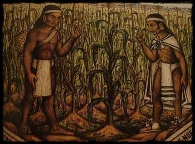 Tipos de Tenencia de la Tierra