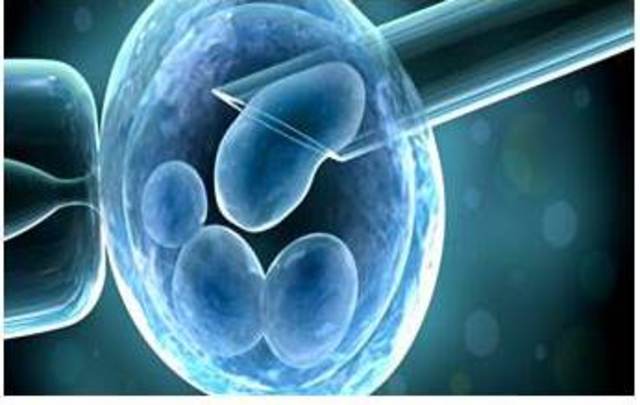 Ingeniería de Células Madre