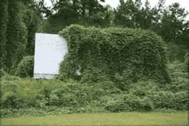 The Major laws and role of Selected Fedral Agencies.