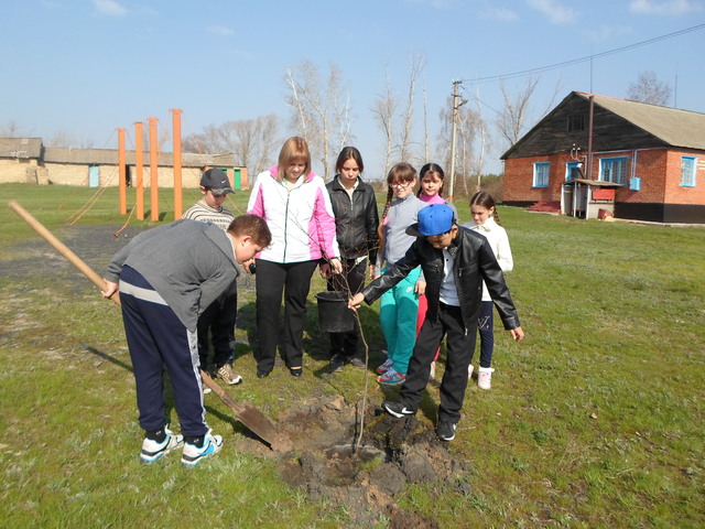 День древонасаждения