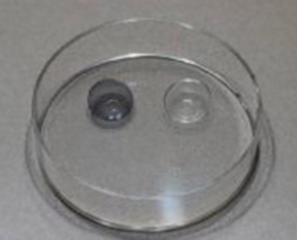 Lentes de contacto que responden a la luz