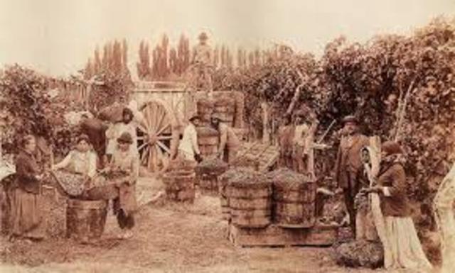 Revolución mexicana