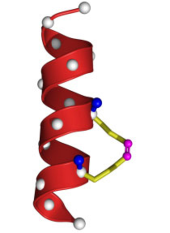 Fármacos contra la resistencia a los fármacos