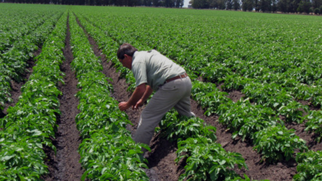 LEY  REGLAMENTARIA  SOBRE LA REPARTICIÓN DE TIERRAS EJIDALES  Y LA CONSTITUCIÓN  DEL PATRIMONIO PARCELARIO EJIDAL