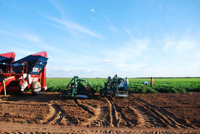 LEY DE TIERRAS OCIOSAS