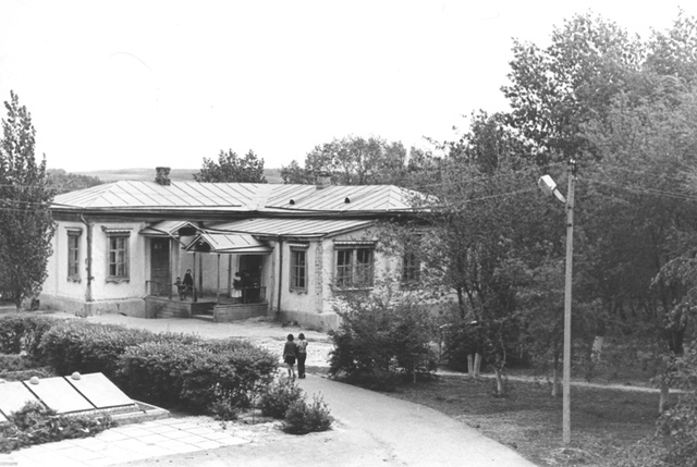 Школьные годы