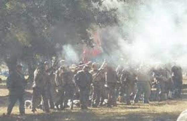 Raiding the Plantation