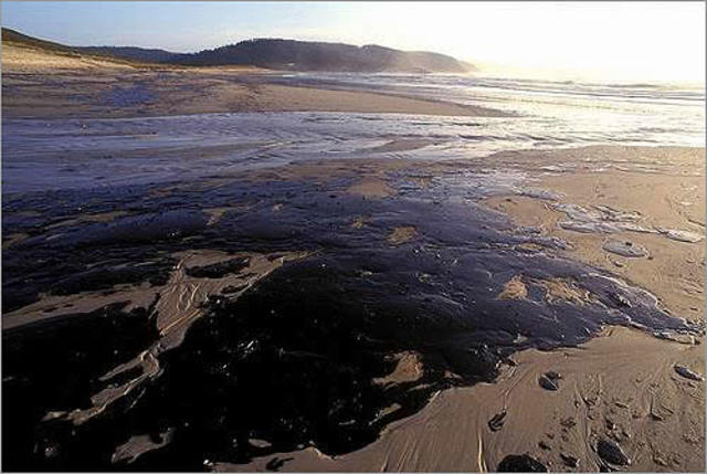 El fuel vertido por el petrolero Prestige continúa llegando a las costas gallegas y cantábricas.