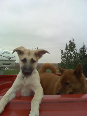 Sacha becomes part of the family.