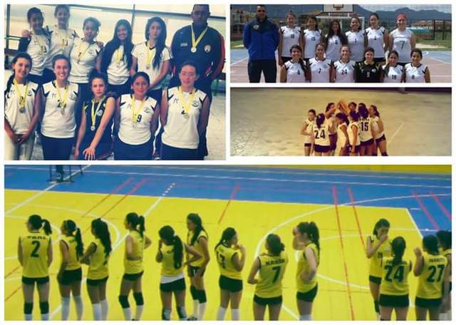 PASION POR EL VOLLEYBALL